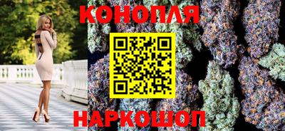 стафф Заволжье