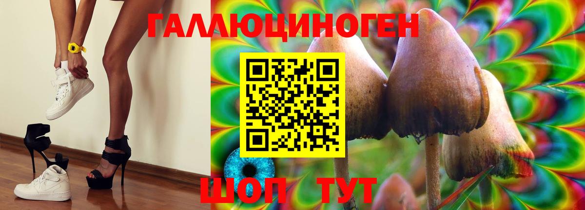 Галлюциногенные грибы Magic Shrooms  Вход с VPN  Мурино 
